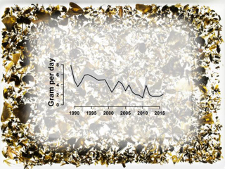 The average weight of trapped insects per day against the years 1989 until 2016. After 27 years, the total average weight has been declined by more than 75 percent. Image: Radboud University